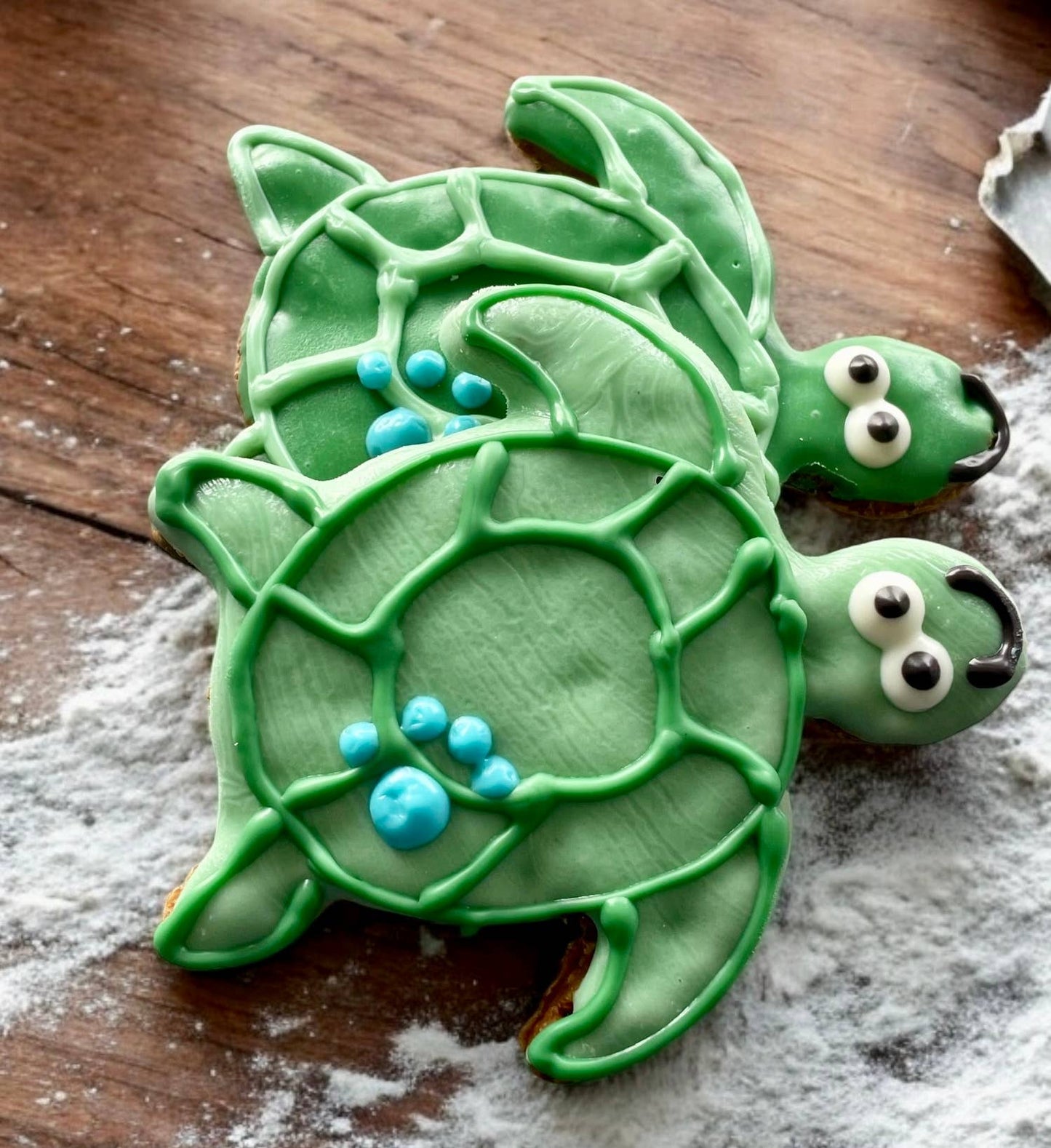 Turtley PAWsome dog treats