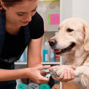 Ocean Plastic by PT Eco-Friendly Pet Nail Clipper for Pets