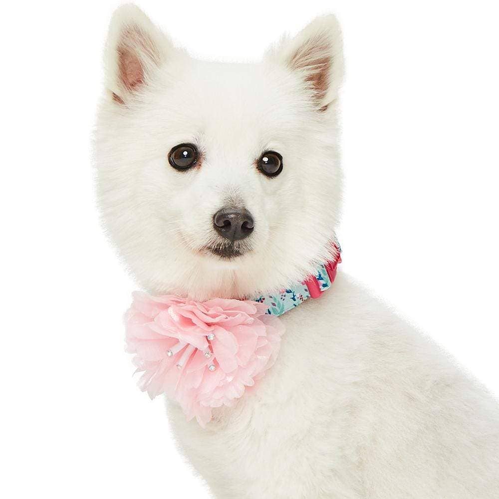 🌸 Floral Dog Collar with Pink Peony – Elegant, Feminine & Fashion-Forward 🐾