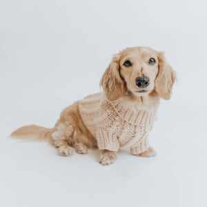 Dog Cable Knit Sweater - Beige