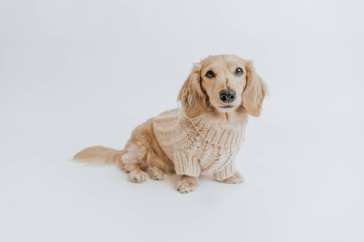 Dog Cable Knit Sweater - Beige