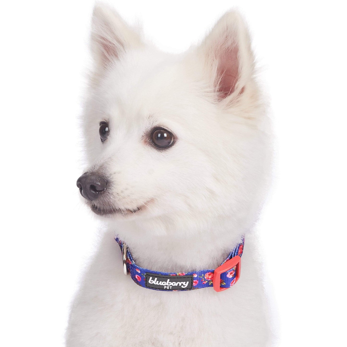 🌹 Best-Selling Floral Dog Collar – Elegant, Durable & Everyday Ready 🐾