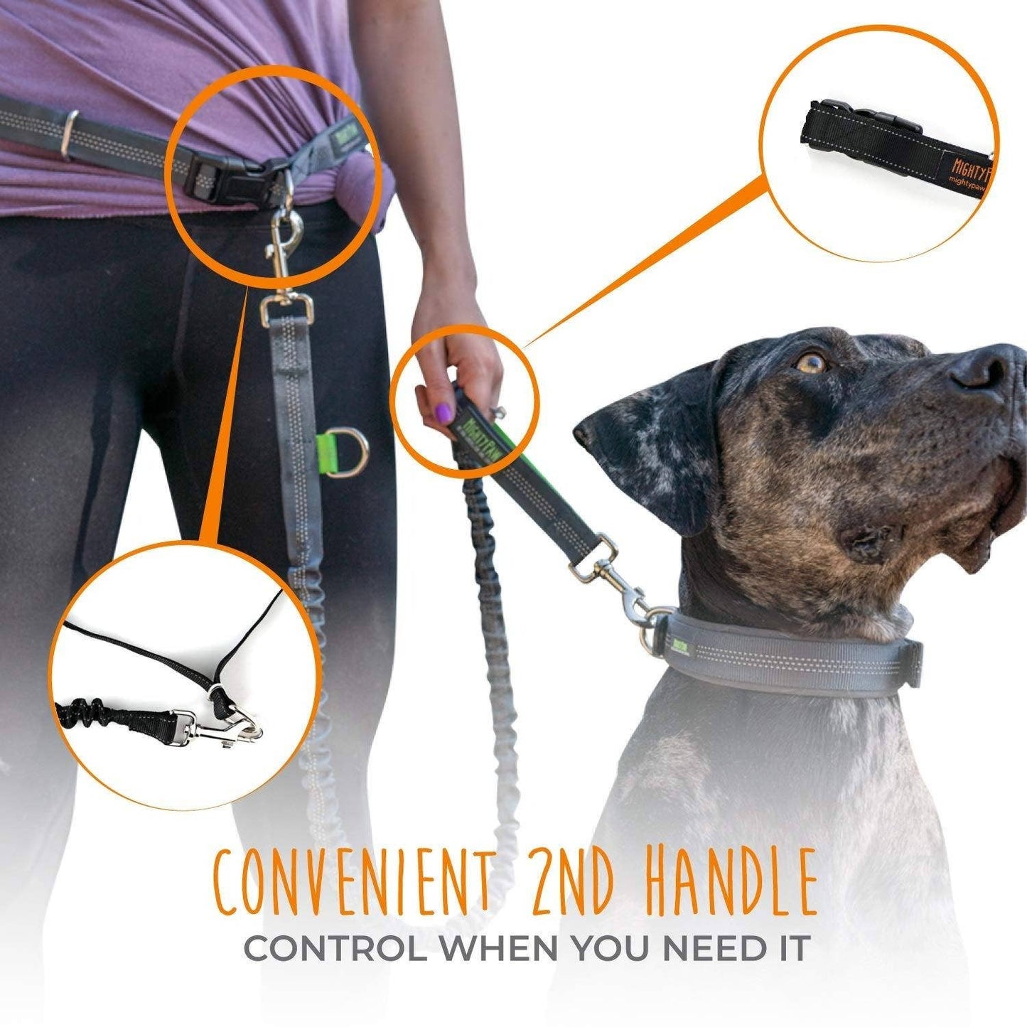 🏃♂️ Mighty Paw Bungee Hands-Free Dog Leash – Run, Walk & Explore Together 🐾