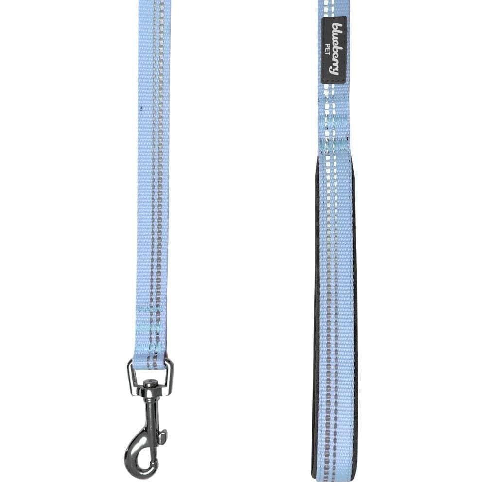 🌸 Spring Colors Reflective Soft Padded Safety Dog Leash