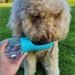 Pet Water Bottle