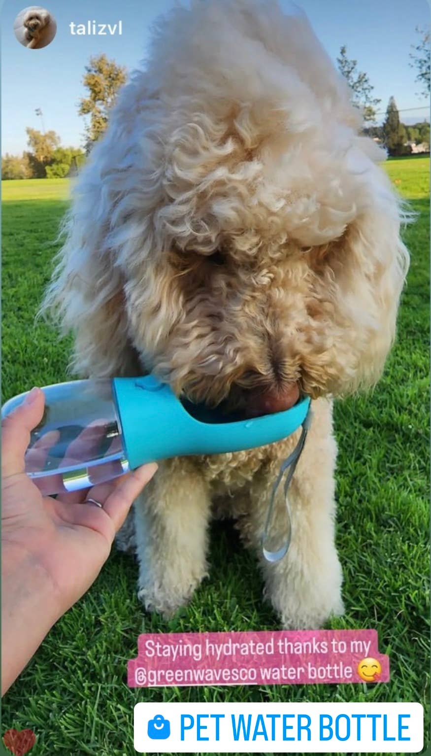 Pet Water Bottle