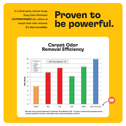 Enzyme-Powered Natural Stain and Odor Pro Eliminator