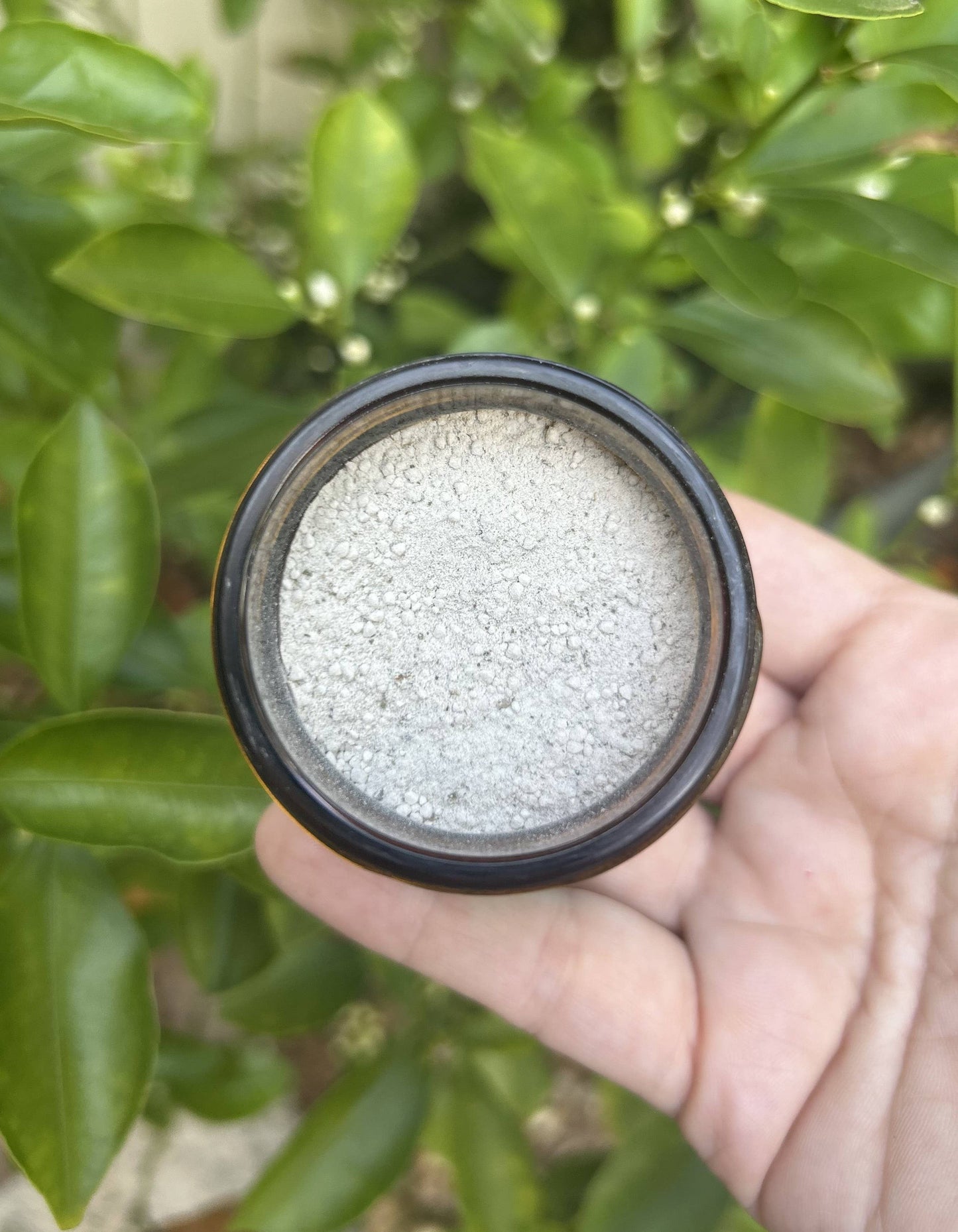🌿🦷 Sweet Mint Remineralizing Tooth Powder