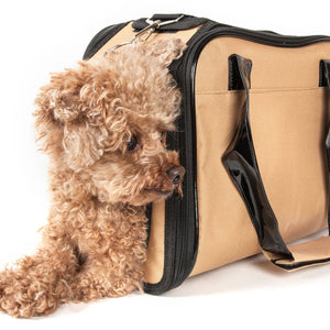 Airline Approved Mystique Fashion Pet Carrier