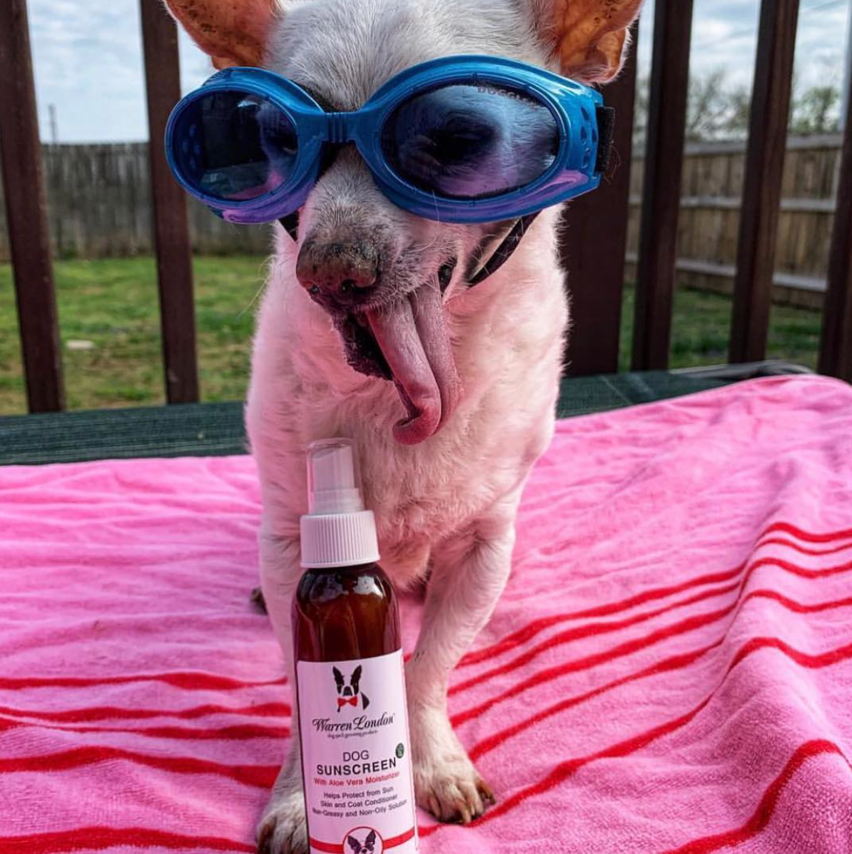 Dog Sunscreen 4 oz