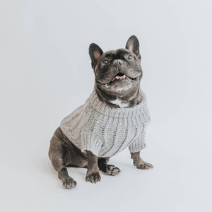 Dog Cable Knit Sweater - Gray