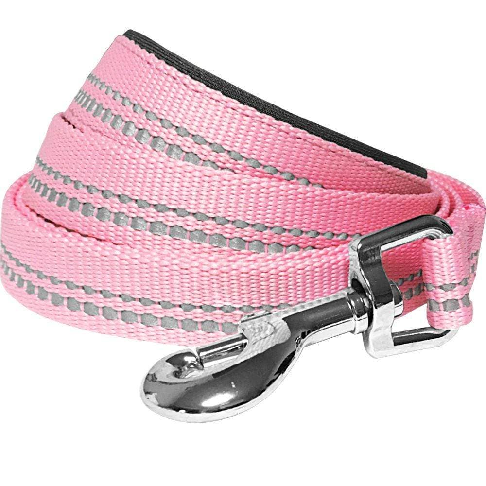 🌸 Spring Colors Reflective Soft Padded Safety Dog Leash