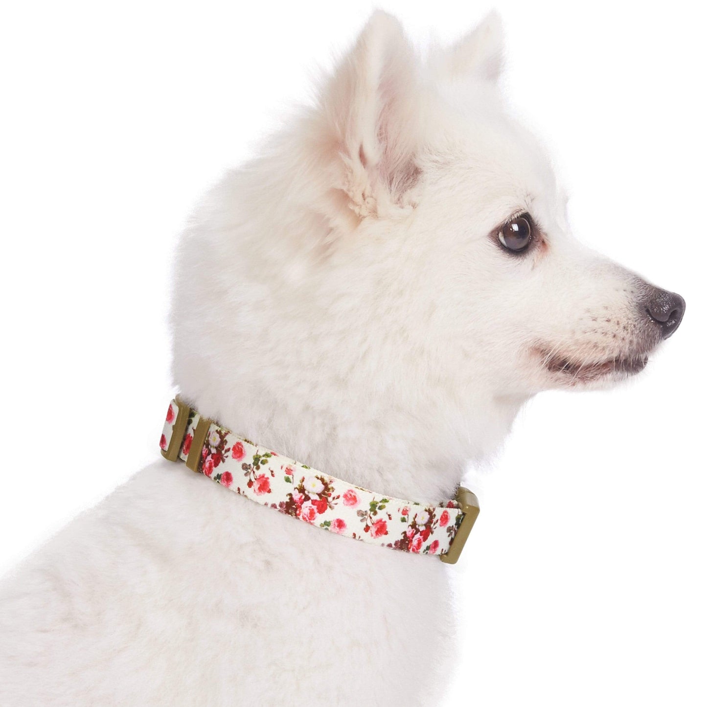 🌹 Best-Selling Floral Dog Collar – Elegant, Durable & Everyday Ready 🐾