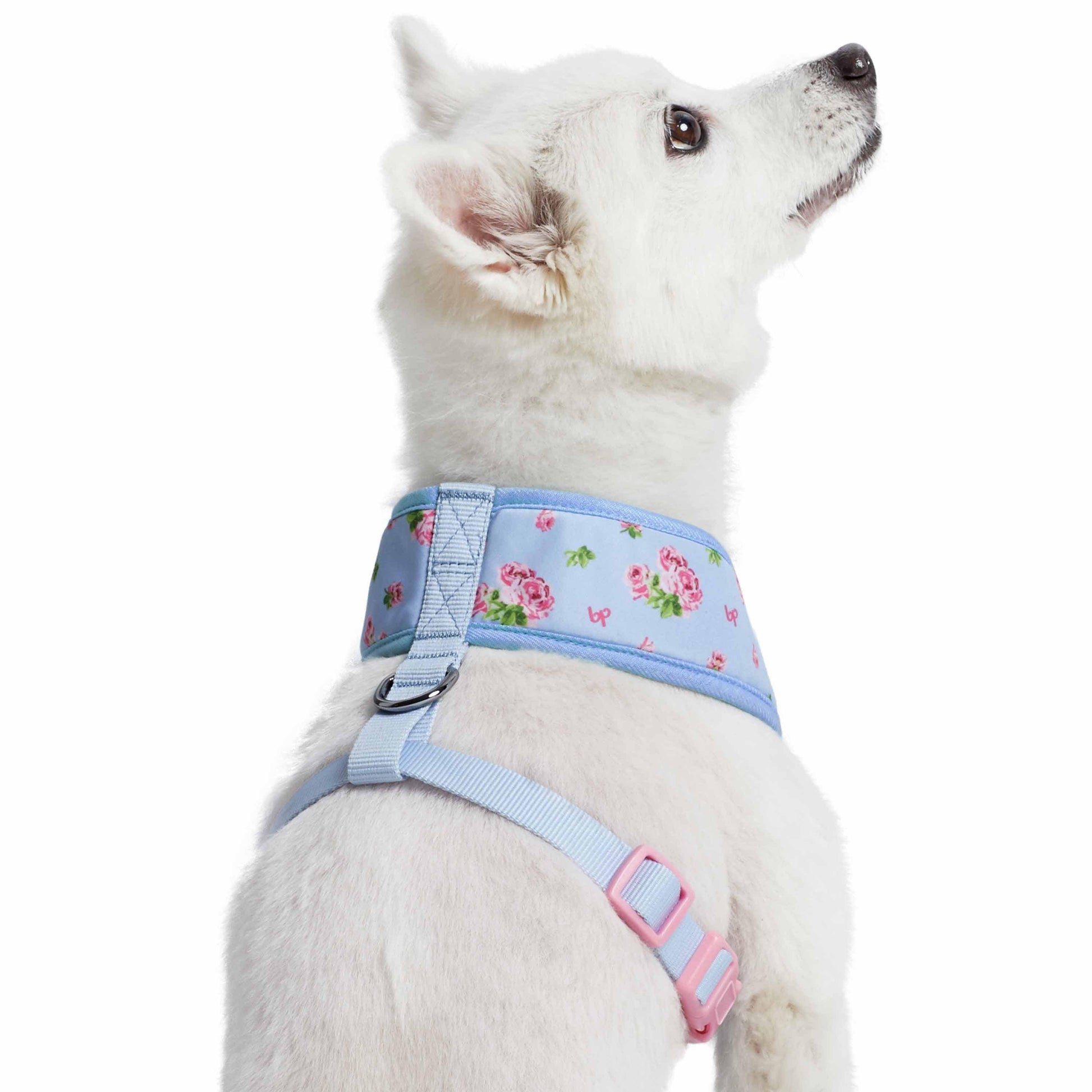 3 Colors, Petal Paws Floral Dog Harness Vest