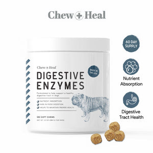 Digestive Enzymes with Probiotics