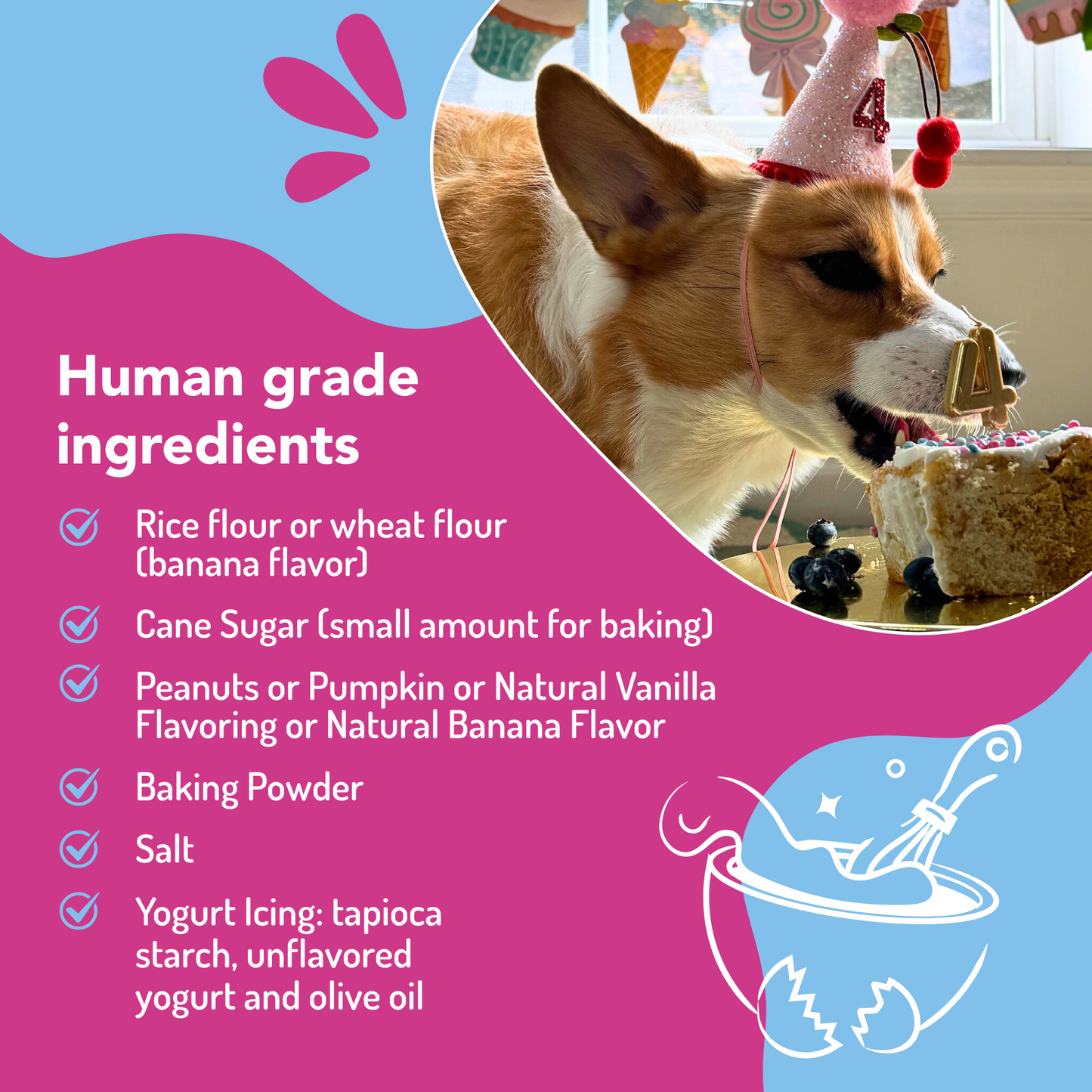 🎂🐾Dog Birthday Cake Kit
