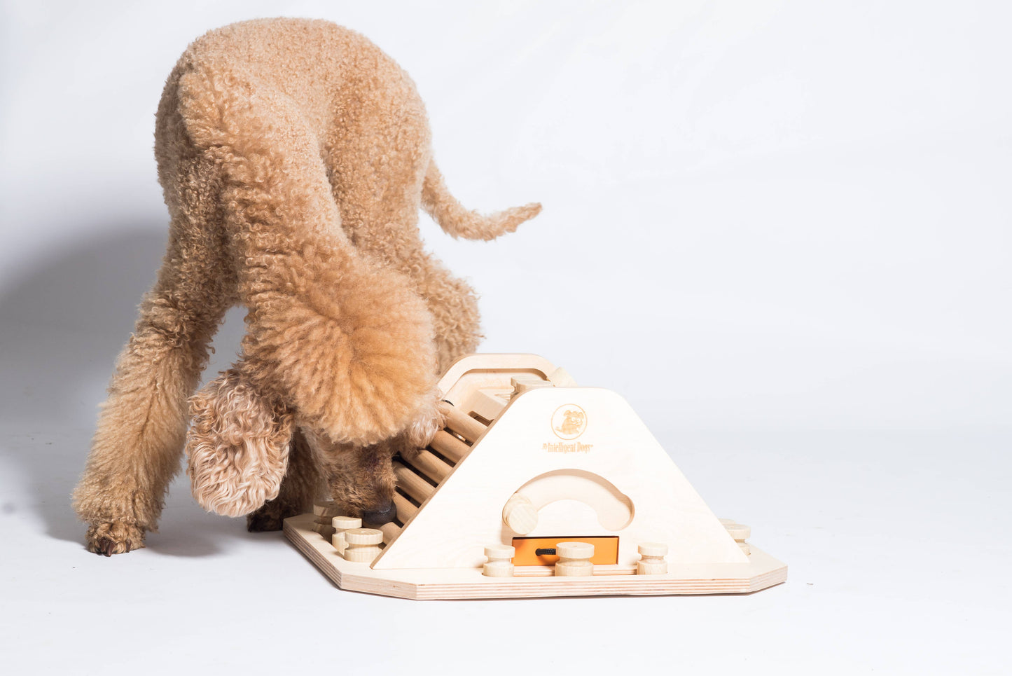 Pyramid - Dog Game