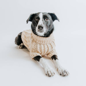 Dog Cable Knit Sweater - Beige