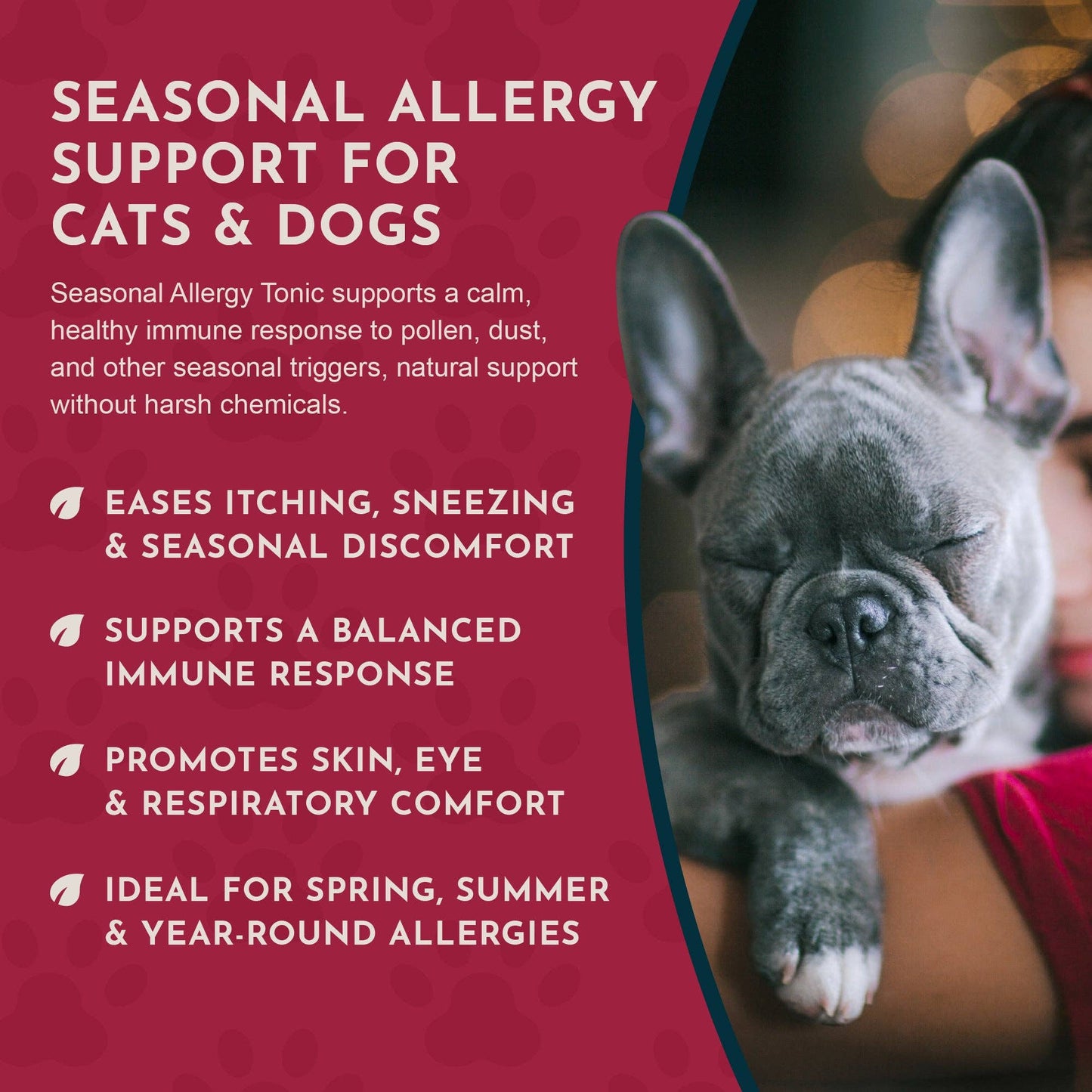 🌿🤧 Seasonal Allergy Herbal Tonic | Maintains Normal Histamine Levels