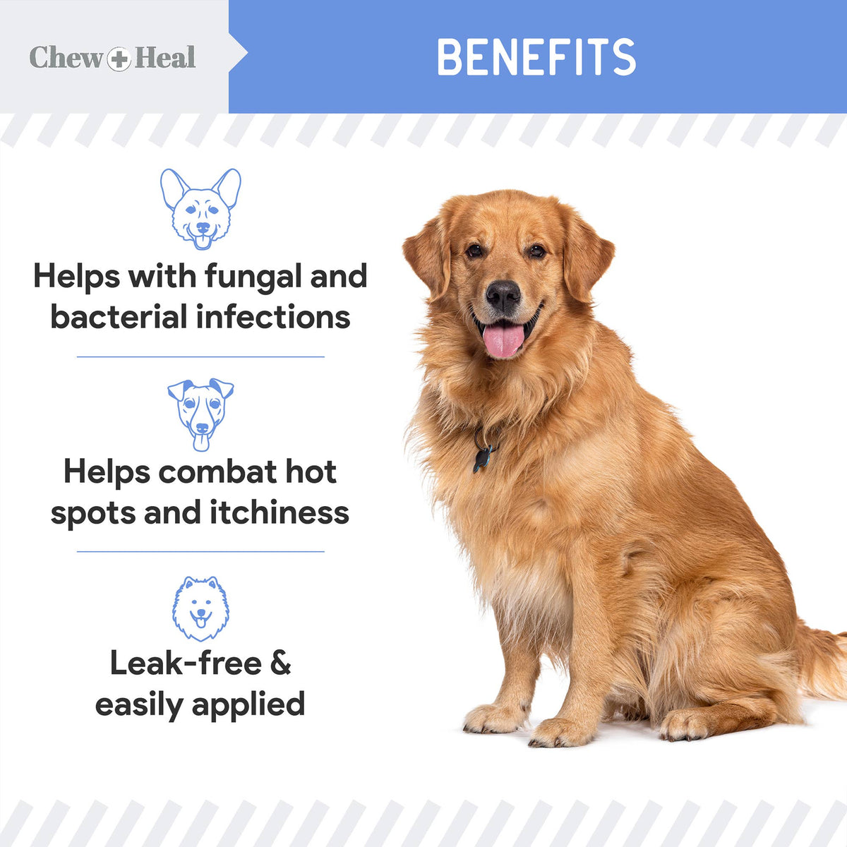 🐶🩹Chew + Heal Advanced Chlorhexidine Medicated Wound Care Spray for Dogs