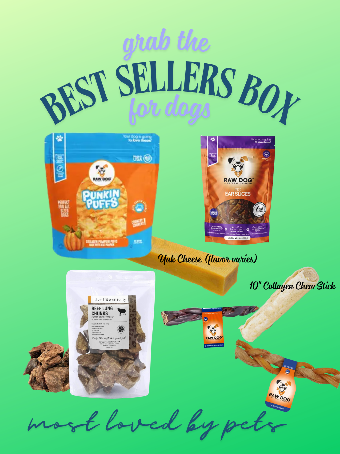 🐶✨Best Sellers Box for Dogs
