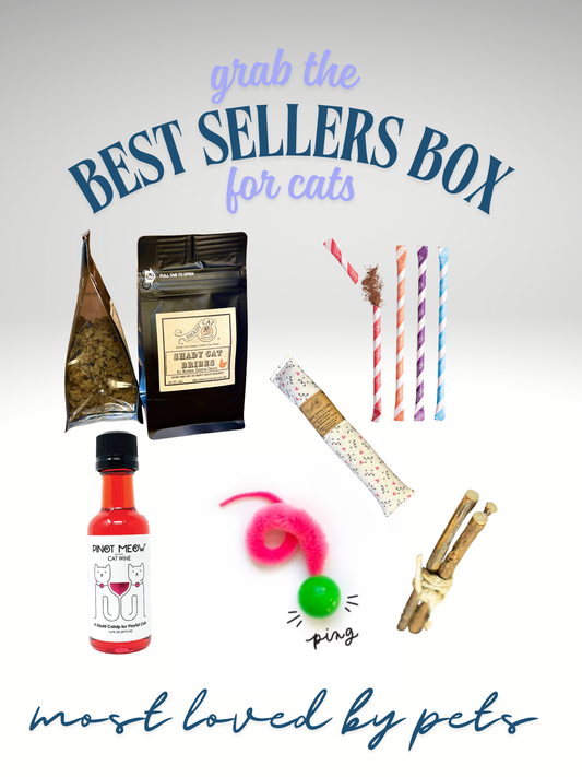 🐱✨Best Sellers Box for Cats