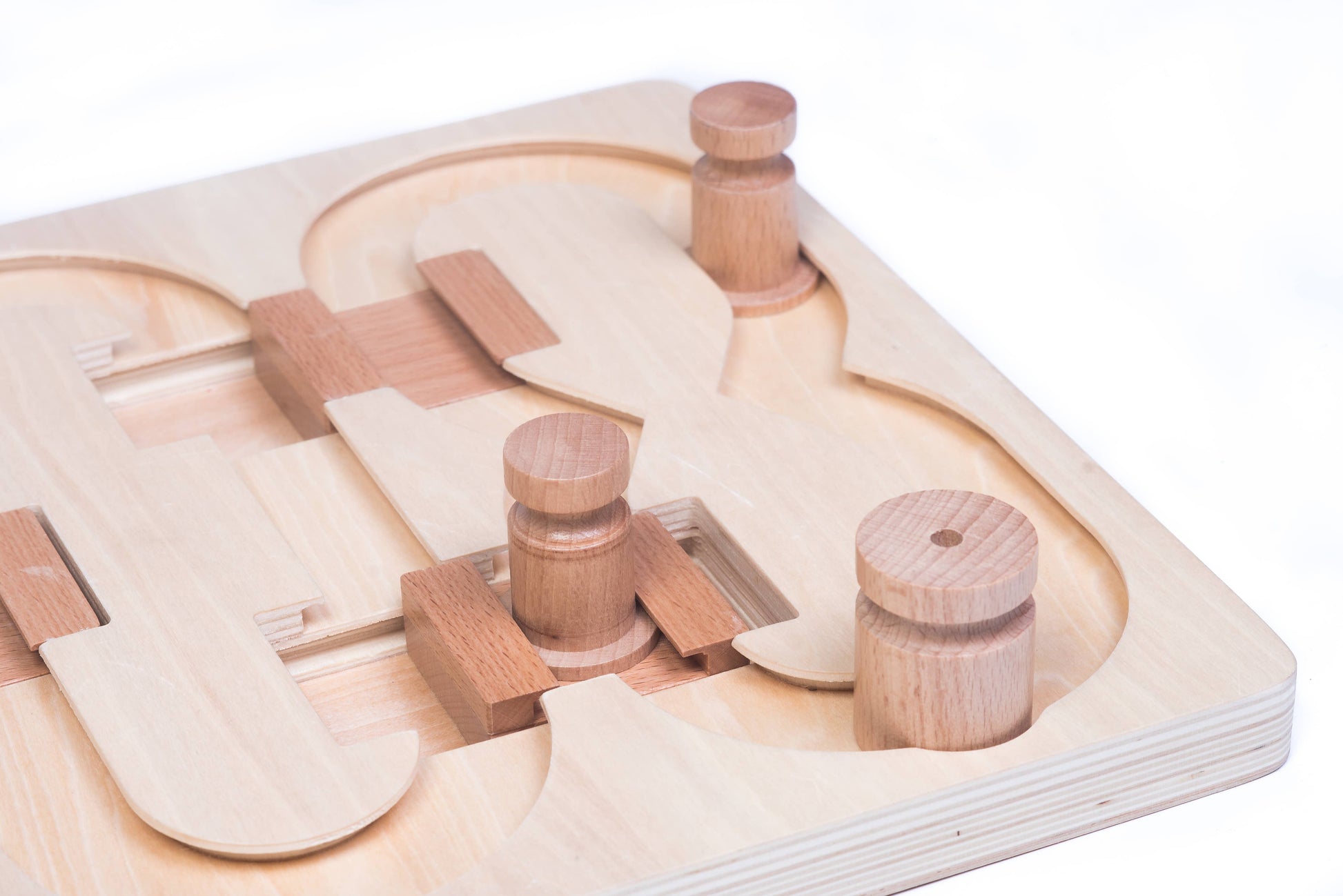 🧠 Advanced “008” Puzzle Game for Pets – Our Most Challenging Intelligence Toy