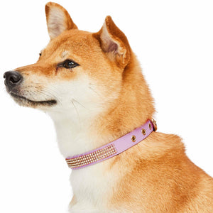 4 Colors, Bling Crystal Rhinestone Dog Collars