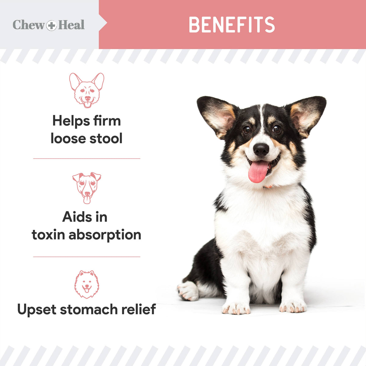 Stop the Diarrhea, Anti Diarrhea for Dogs
