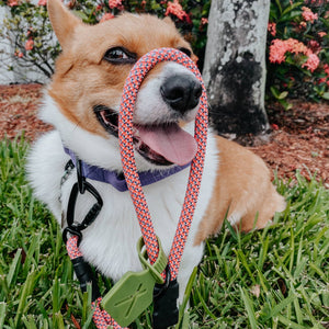 Poop Bag Carrier Attachment