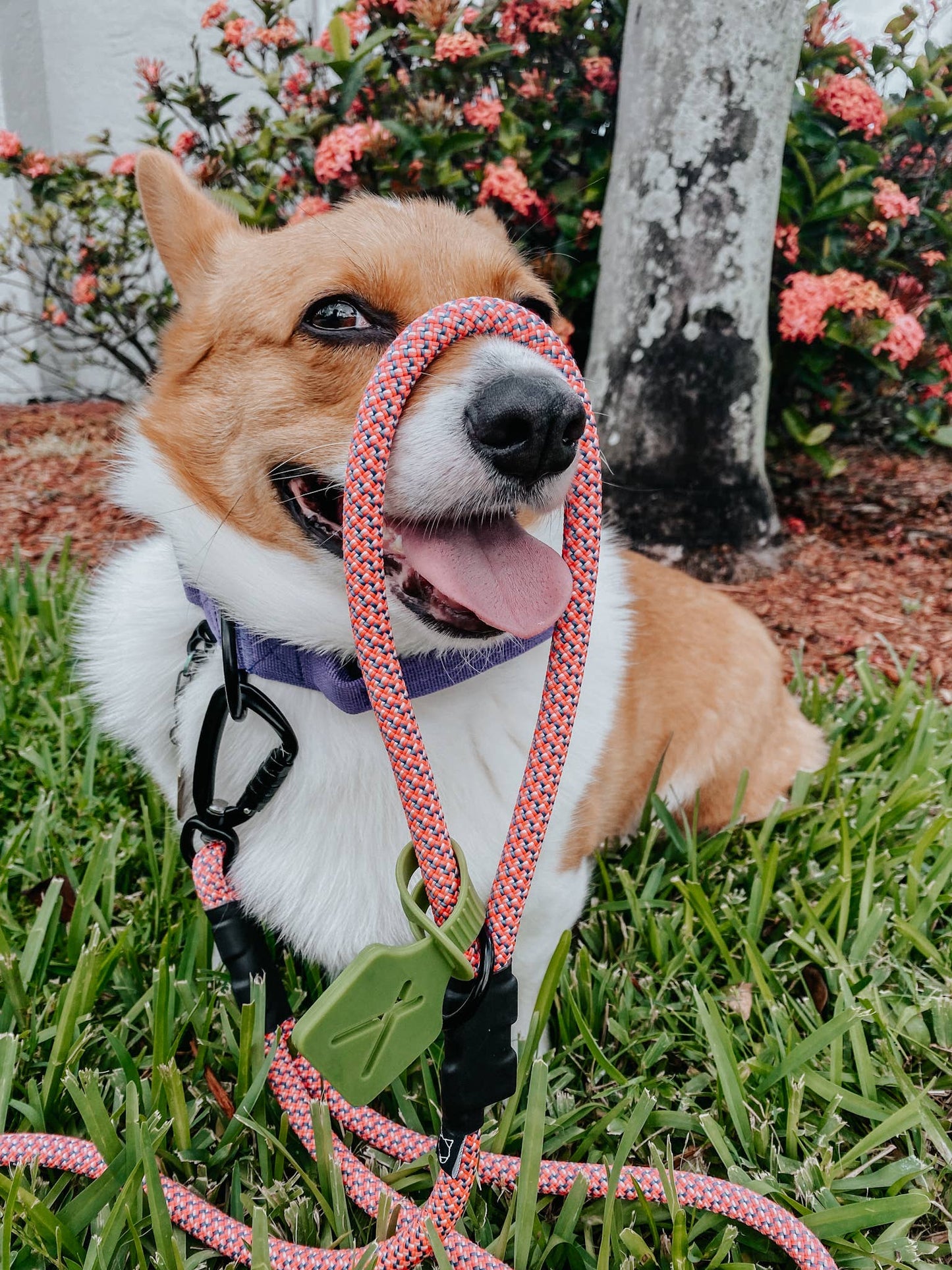 Poop Bag Carrier Attachment