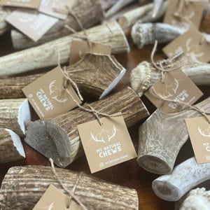 Elk Antler Chew-Various Sizes