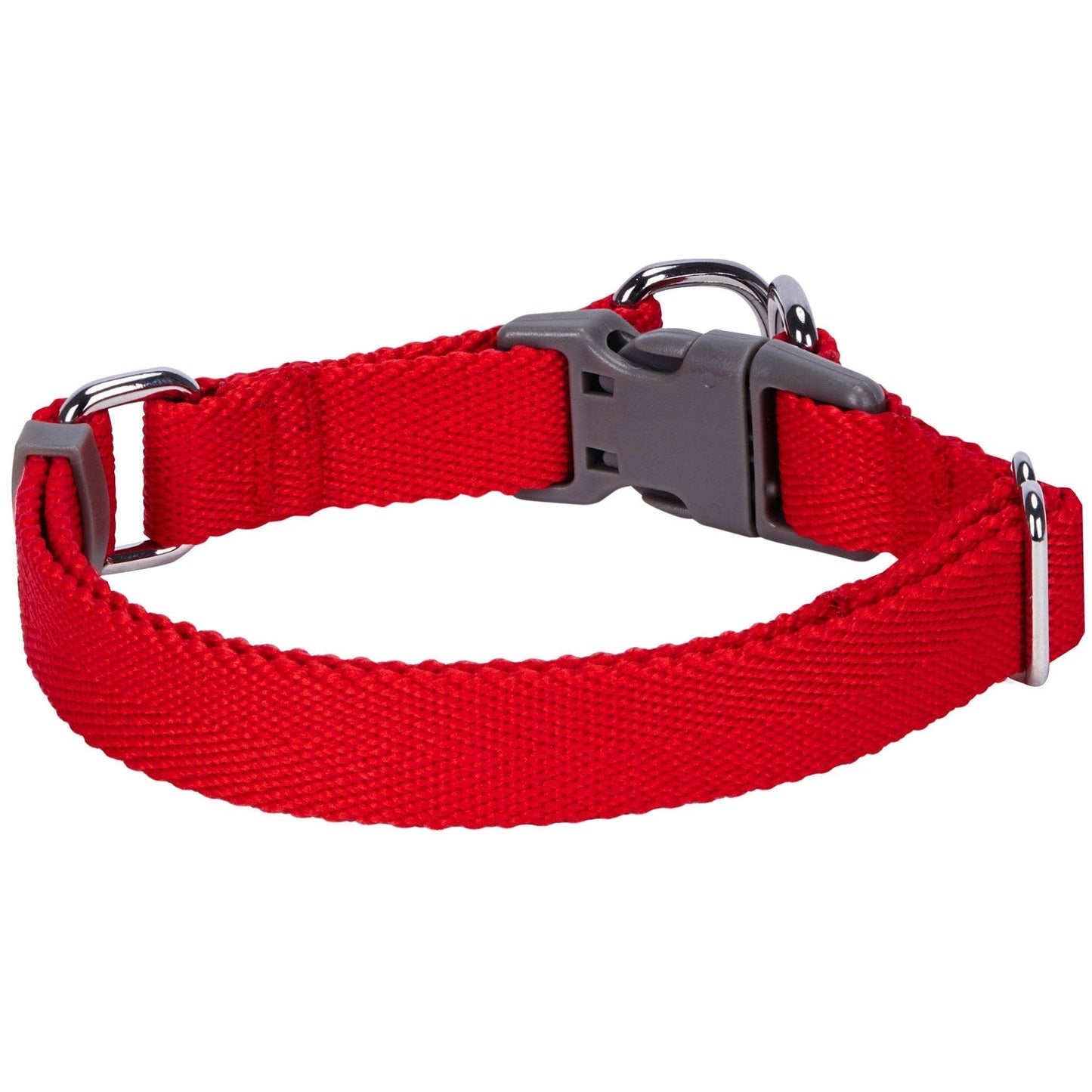 ✨ Dogs & Cats & Co. Double D-Ring Dog Collar 🐾
