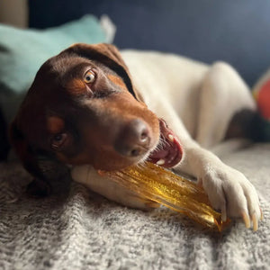 Mighty Marrows Collagen Dental Chew