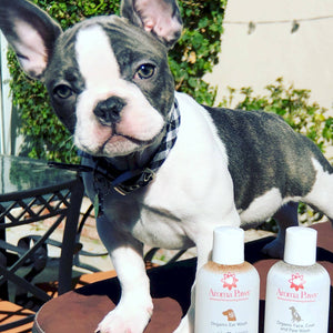 7 Oz. Organic Ear Wash