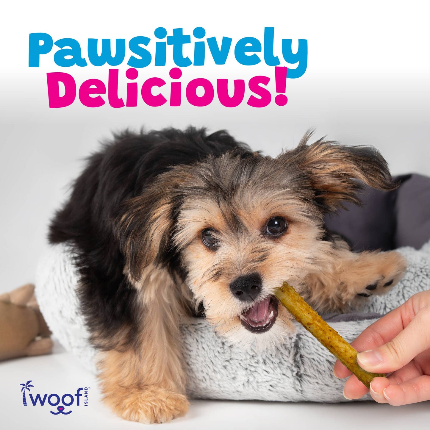 🥥🍌 Woof Island™ Coconut Pork Rolls with Banana & Chicken – All-Natural Dog Chews