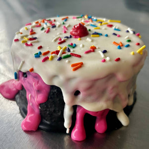 Neapolitan “ICE CREAM” Dog Cake Treat