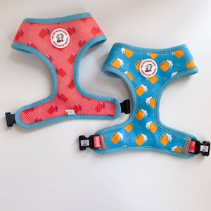 Summer Beer Reversible Harness