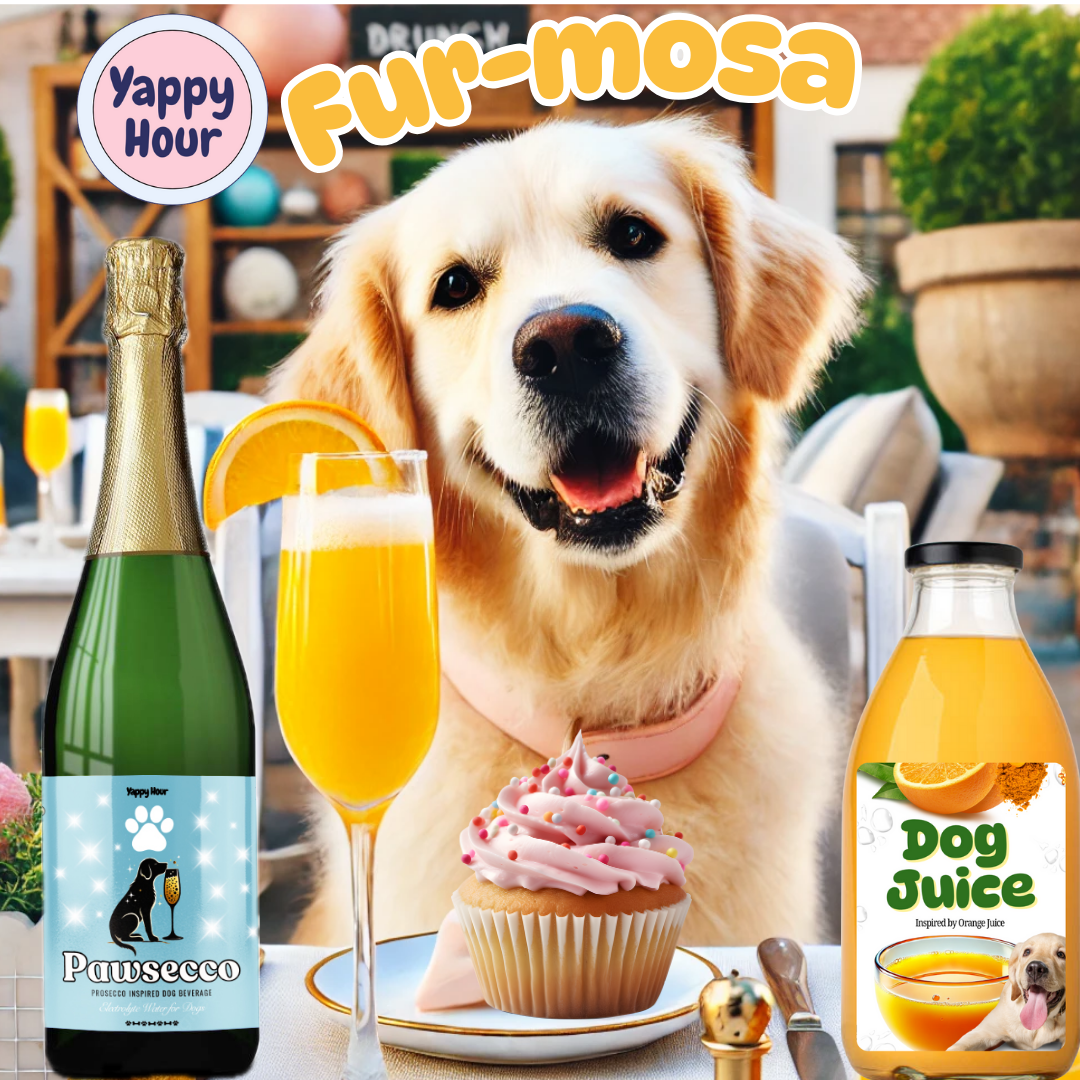 🍾🍊🐶 Yappy Hour™ Fur Mosa Mimosa Kit for Dogs 🥂🐾