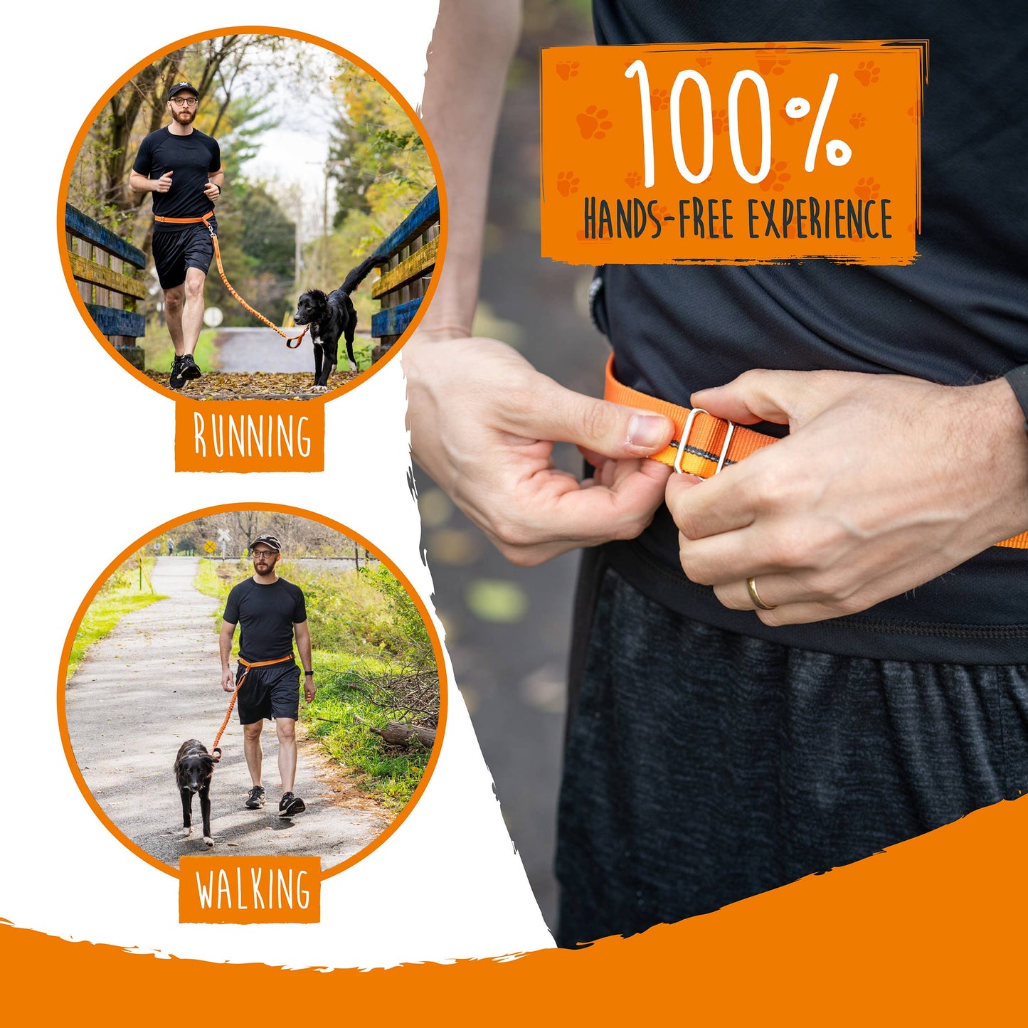 🏃♂️ Mighty Paw Hands-Free Bungee Leash Set 2.0
