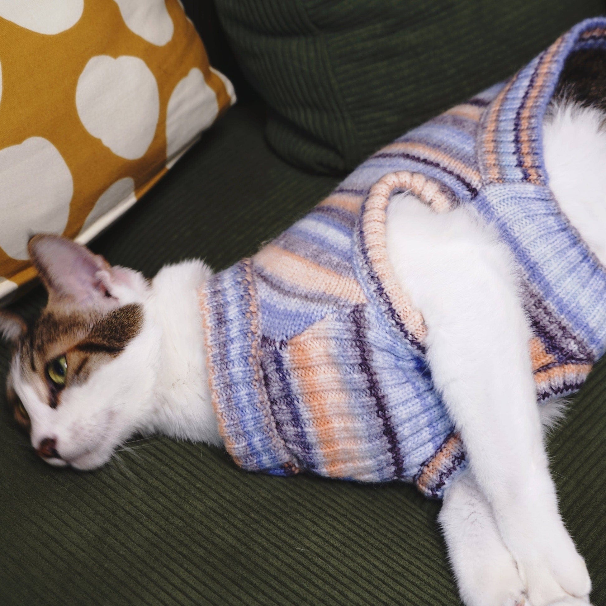 🌈🐾 Cozy Soft Gradient Yarn Crew Neck Sweater