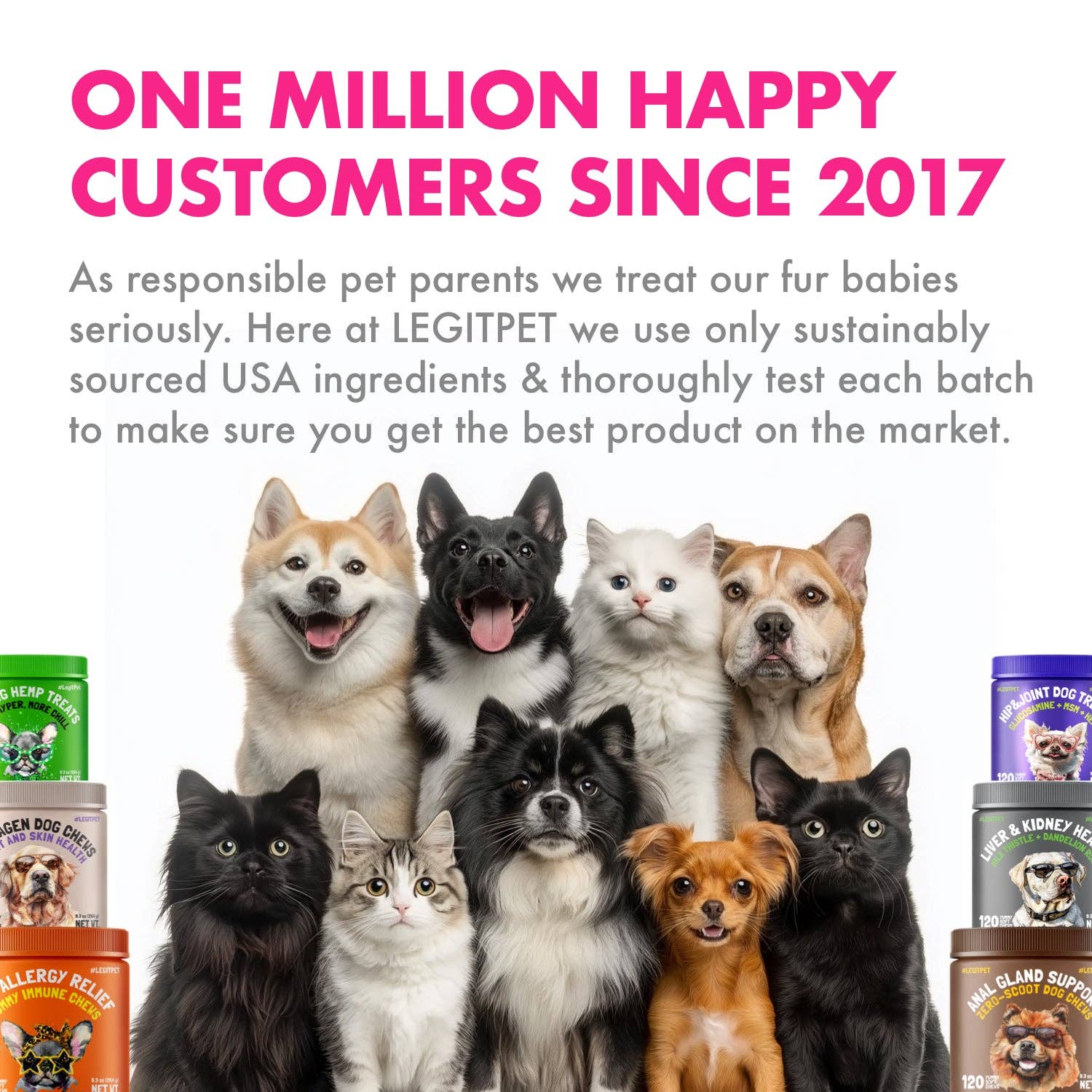 Probiotic Cat Treats