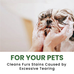 Organic Cucumber & Aloe Facial Scrub 13.5oz