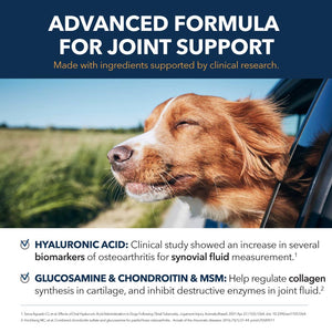 Hip & Joint Mobility Powder for Dogs