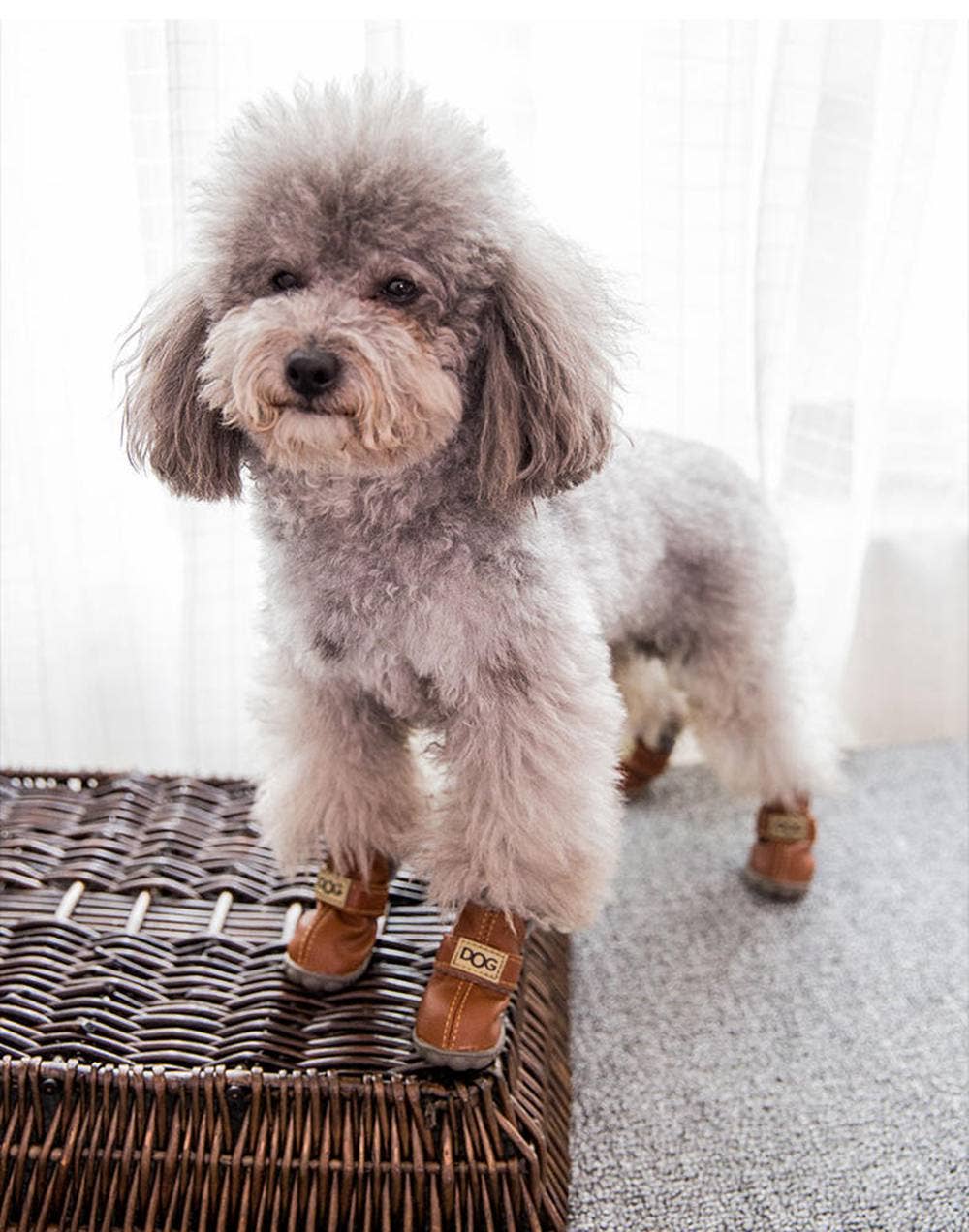 ❄️ Dog Australia Snow Boots – Winter Waterproof Dog Shoes