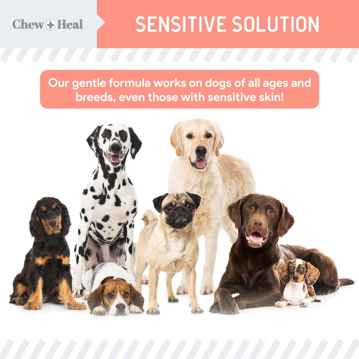 🌿🐾 Natural Hot Spot & Itching Support (2oz) – Botanical Skin Relief for Dogs