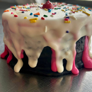 Neapolitan “ICE CREAM” Dog Cake Treat