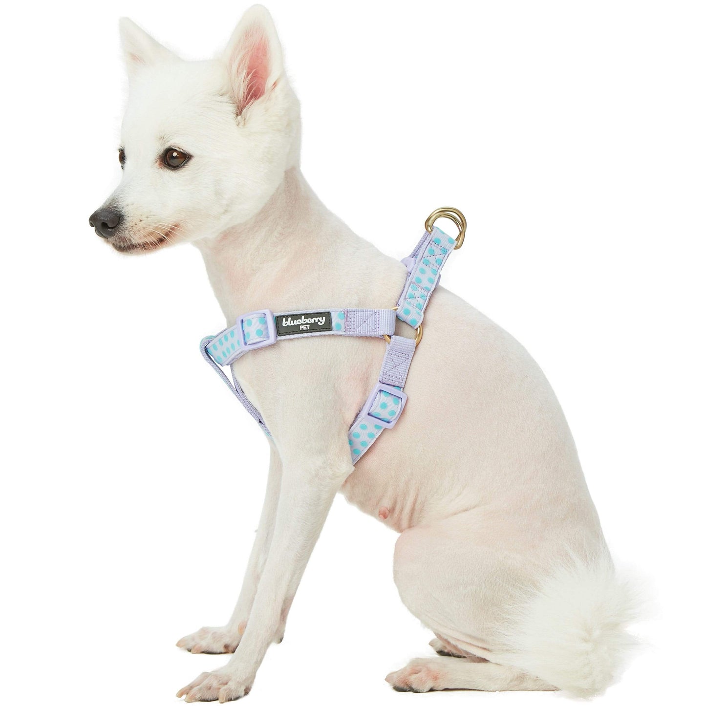 🐾✨Velvety Polka Dot Flocking Dog Harness