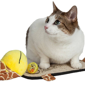 Eco-Natural Sisal Scratcher & Toy