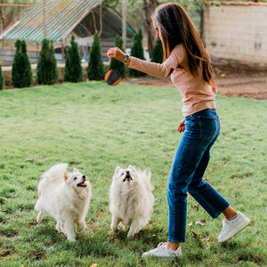 Pilot & Scout Chew N Play Treat Dispensing Dog Toy